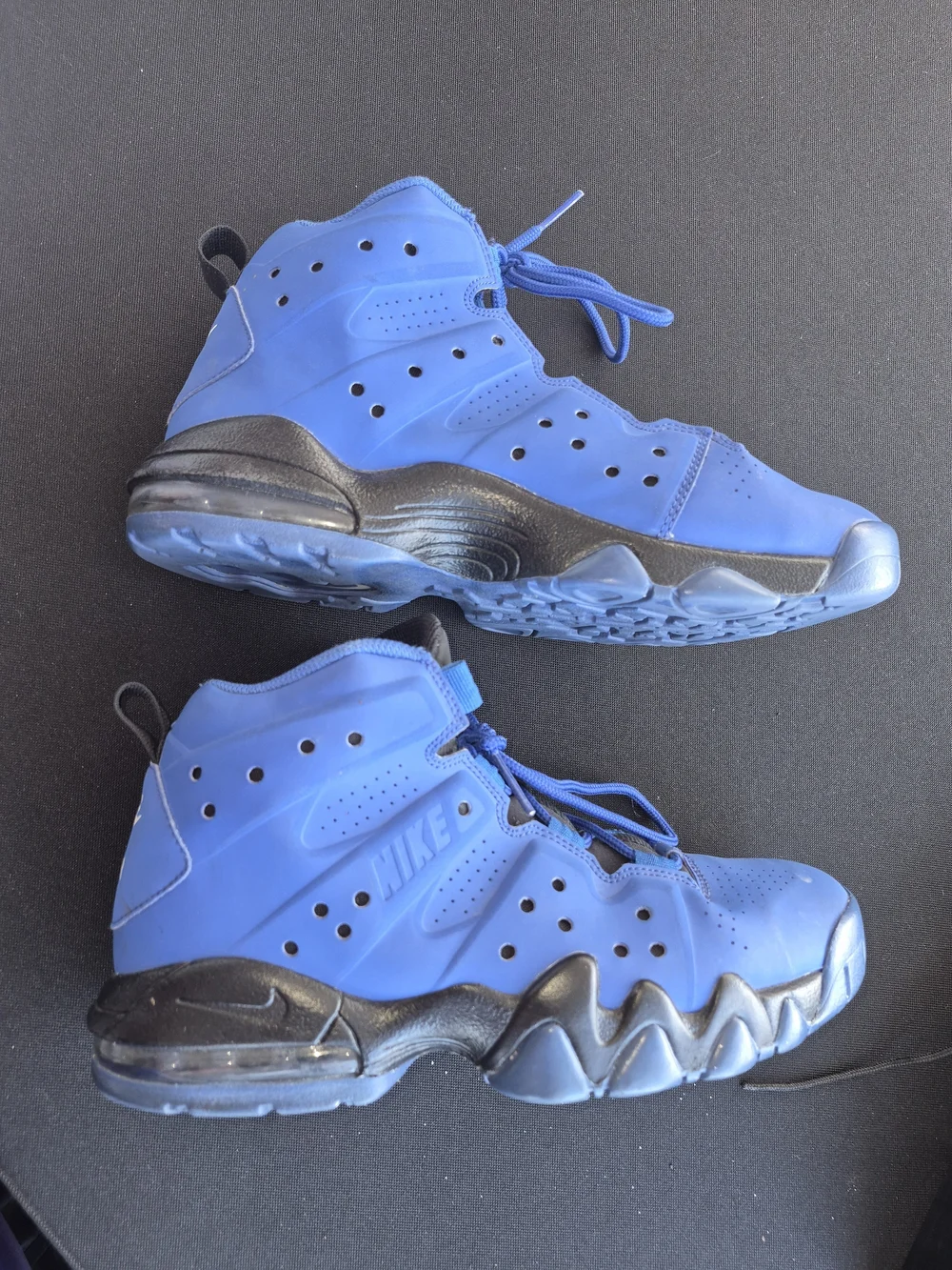 Nike Air Max Barkley Gs